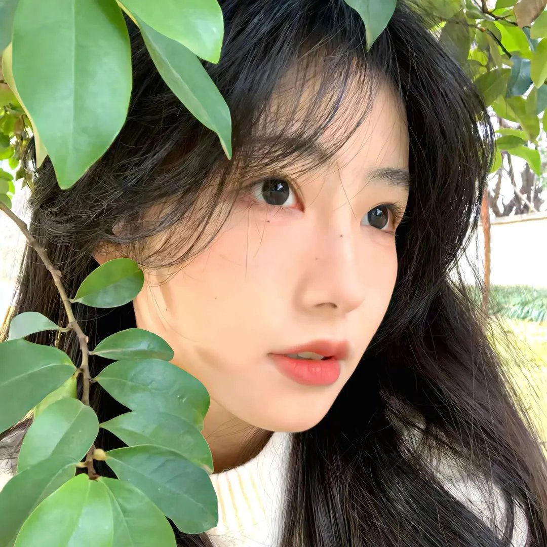 美人鱼旅馆